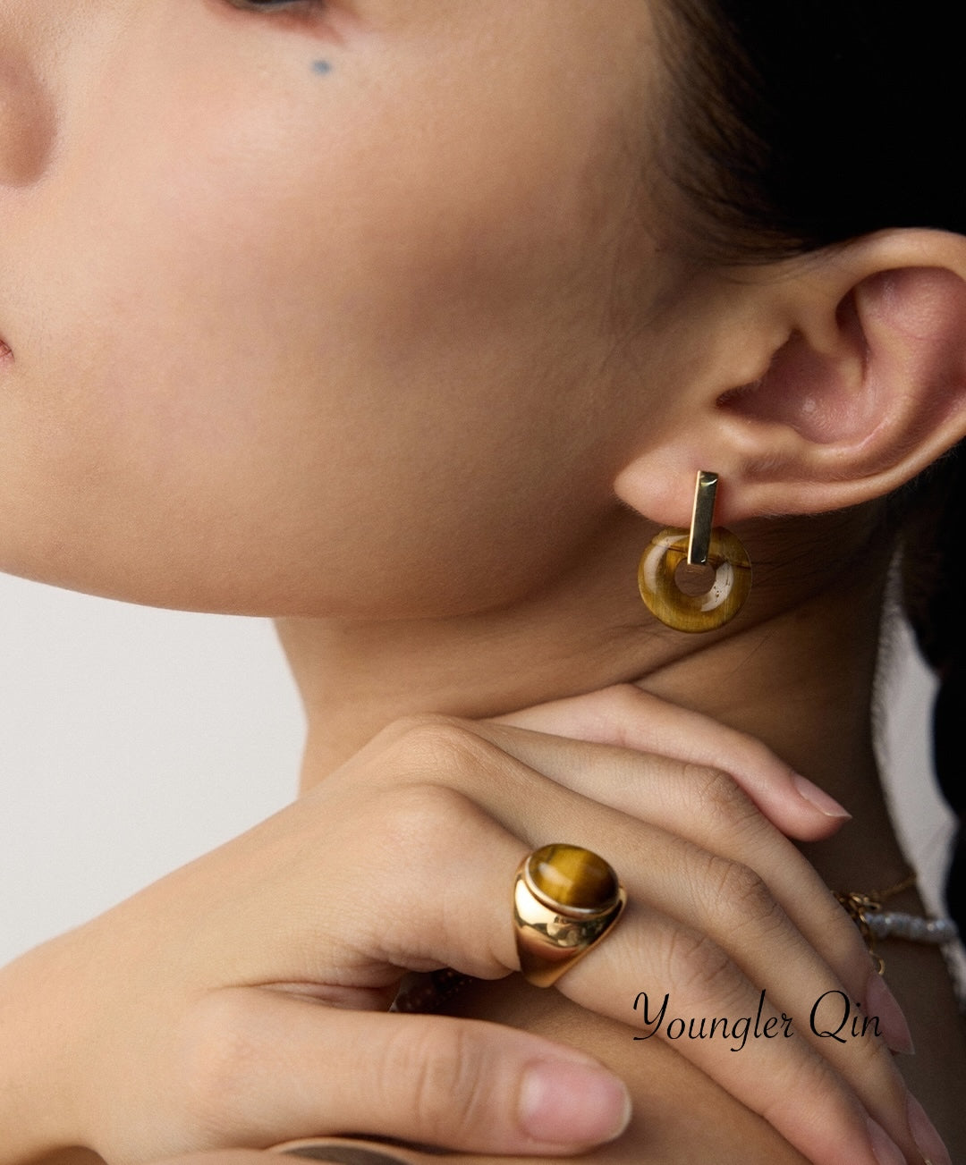 Tiger Eye Circle Earrings