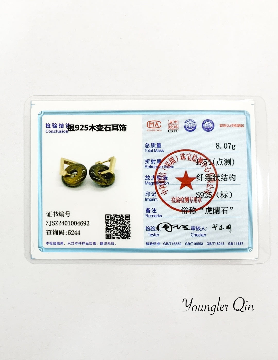 Tiger Eye Circle Earrings