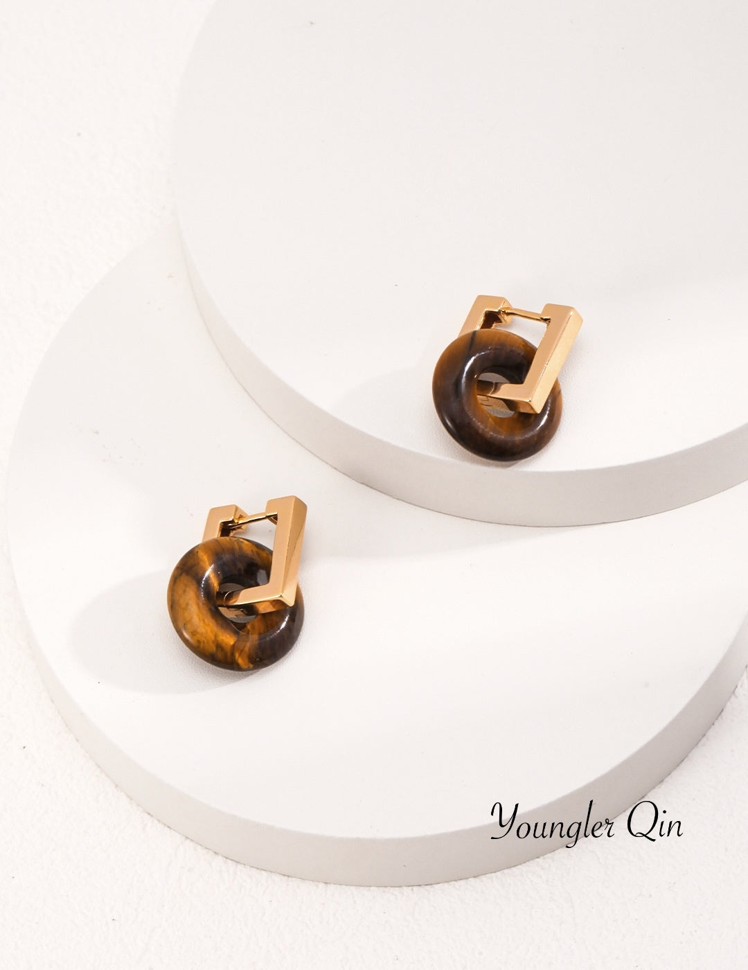 Tiger Eye Circle Earrings